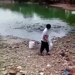 Video herunterladen: Il vient nourrir les poissons dans son lac... Affamés!