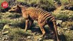 10 Animales Extintos Que Volveran A La Vida