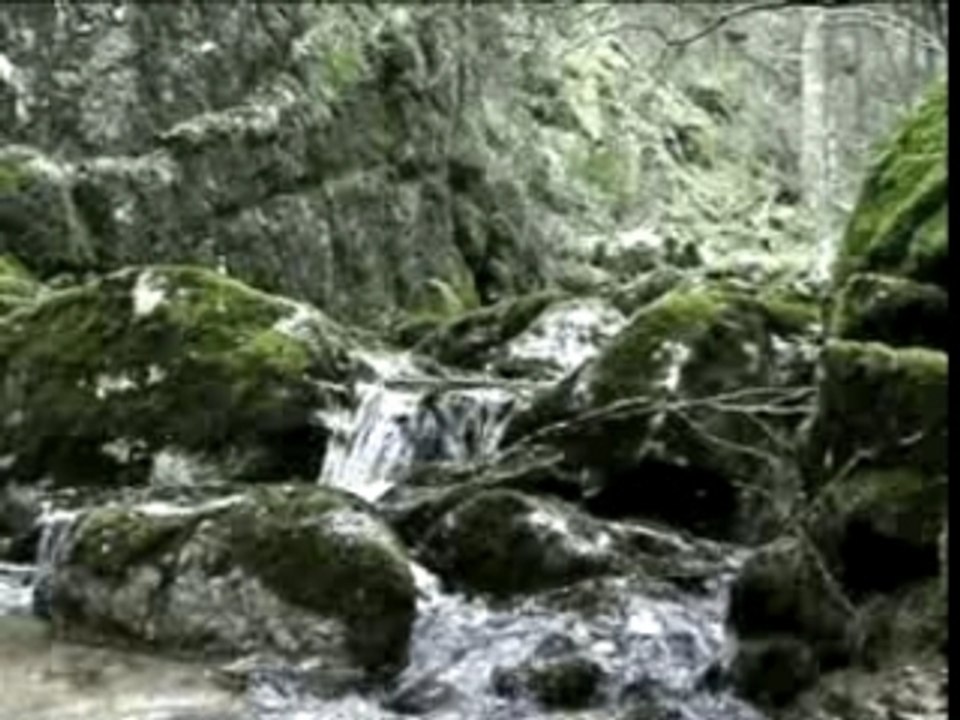 Histoire d'eau
