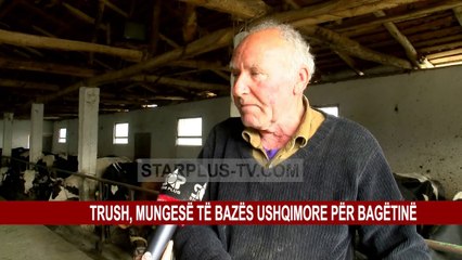 TRUSH, MUNGESE TE BAZËS USHQIMORE PËR BAGËTINË