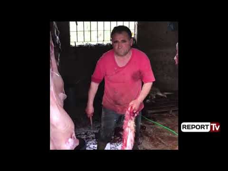 Report TV - AKU sekuestron 115 kg mish qengji e...