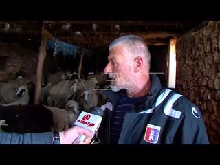 Blegtorët përballen me probleme të mëdha