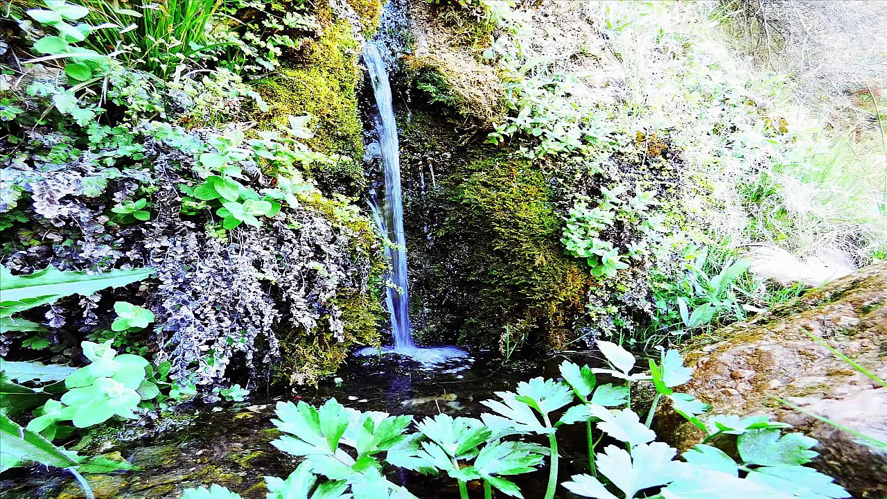 sonidos de la naturaleza - fuente de agua - sounds water sources