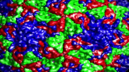 Ebola: The worlds most dangerous Virus (part 3)