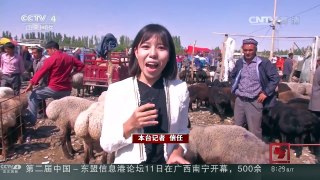 [中国新闻]新疆各民族共庆古尔邦节 | CCTV-4