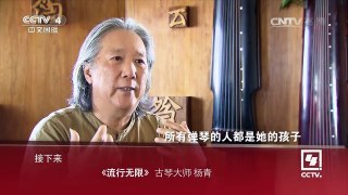 《流行无限》 20160911 古琴大师 杨青 | CCTV-4