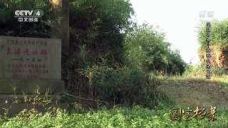 《国宝档案》 20160830 吴越寻奇——探秘良渚古城 | CCTV-4