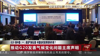 [中国新闻]G20看中国（十） 直面气候议题 中国如何发挥领导作用？ | CCTV-4