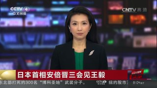 [中国新闻]日本首相安倍晋三会见王毅 | CCTV-4