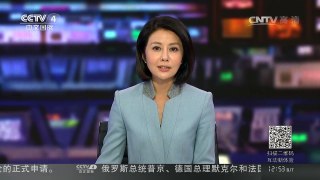 [中国新闻]马来西亚为10岁大熊猫夫妇庆生 | CCTV-4