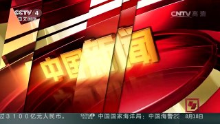 [中国新闻]奥地利确认旅居大熊猫产下双胞胎 | CCTV-4