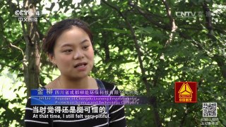 《走遍中国》 20160815 硕士“沼气妹” | CCTV-4