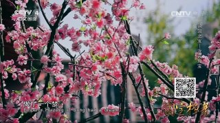 《国宝档案》 20160811 镇馆之宝——汝瓷瑰宝 | CCTV-4