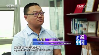 《走遍中国》 20160811 哈佛博士的健康基因梦 | CCTV-4