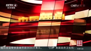 [中国新闻]四川：大熊猫龙凤胎“巨婴”诞生 | CCTV-4