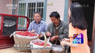 《走遍中国》 20160726 5集系列片《创业先锋》（2） 保安走上电商路 | CCTV-4