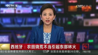 [中国新闻]西班牙：农田烧荒不当引起东部林火 | CCTV-4