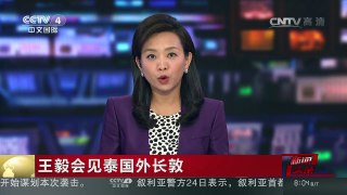 [中国新闻]王毅会见泰国外长敦 | CCTV-4