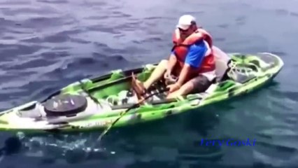 Shark Fishing Big fish Fishing funny video compilation 2016