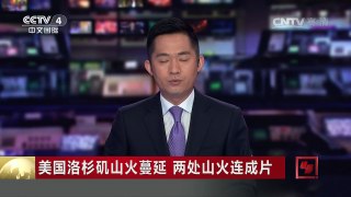 [中国新闻]美国洛杉矶山火蔓延 两处山火连成片 | CCTV-4