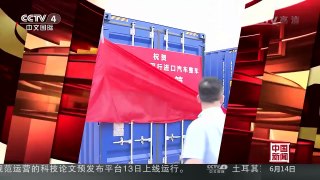 [中国新闻]中国首个平行进口车专列抵达重庆口岸 | CCTV-4