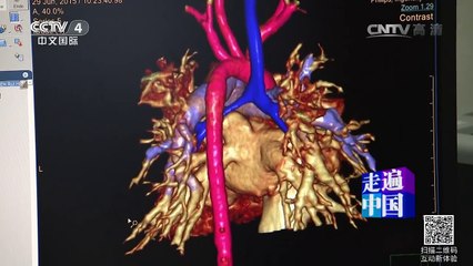 《走遍中国》 20160523 3D打印显神通 | CCTV-4