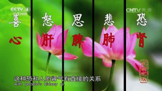 《文明之旅》 20160516 樊正伦 情志的奥秘 | CCTV-4