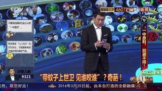 [中国舆论场]邱毅：蔡英文不提“九二共识”将被台民众怪罪 | CCTV-4