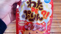 Meiji Wata DE Purin?! 明治わたDEぷりん?! Meiji DIY Cotton Candy Pudding Kit - DecoNeko