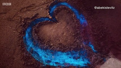 Electric blue waves wash California shore - BBC News