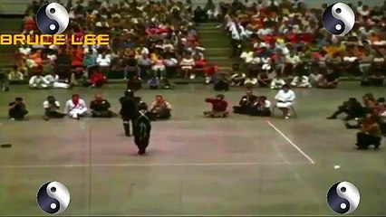 Luta Real de Bruce Lee Oficial