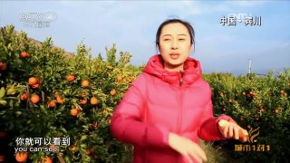 《城市1对1》 20160403 奇幻之城 中国·宾川-缅甸·蒲甘 | CCTV-4