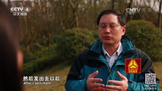 《走遍中国》 20160509 只为守护一方山水 | CCTV-4