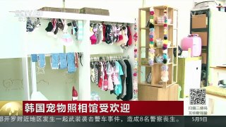 [中国新闻]韩国宠物照相馆受欢迎 | CCTV-4