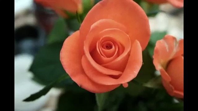 이수역출장안마【이수역안마】010~5906~1745 이수역출장마사지 ∬인연∬ 이수역출장안마 이수역출장여인들 이수역출장만남 이수역출장24c 이수역출장후불 이수역출장안마