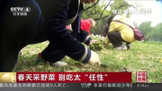 [中国新闻]春天采野菜 别吃太“任性” | CCTV-4
