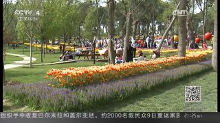 [中国新闻]土耳其：伊斯坦布尔国际郁金香节开幕 | CCTV-4