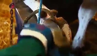 ایسا فارم آپ نے شاید ہی دیکھا ہو