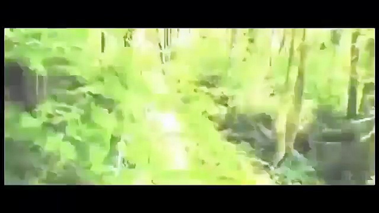 Documental Bases Ultra Secretas de Hitler part 1/2