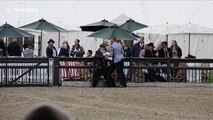 Activists breach security at Windsor horse show days before royal wedding