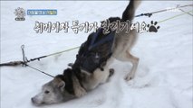 [The Wizard of Ozi] 오지의 마법사 - Take a dog sled 20180513
