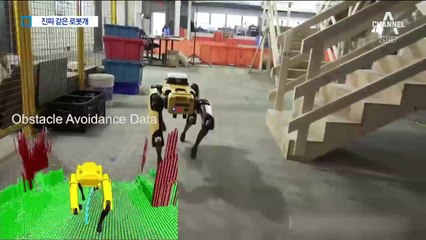 심부름도 척척…볼수록 빠져드는 로봇개의 매력