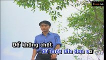 Những Đồi Hoa Sim - Trường Vũ