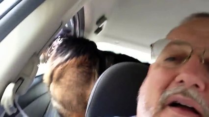 Un chien réalise qu'il est arrivé chez le vétérinaire