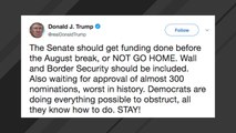 Trump: Lawmakers Shouldn't Go Home For August Break Unless Funding--Including For The Wall--Is Done