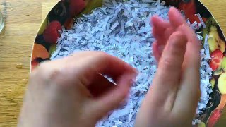 How to make a Bowl from Shredded Paper (DIY Watermelon Craft)