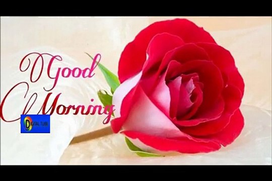 Latest Good Morning wishes, SMS, greetings, Whatsapp Video message