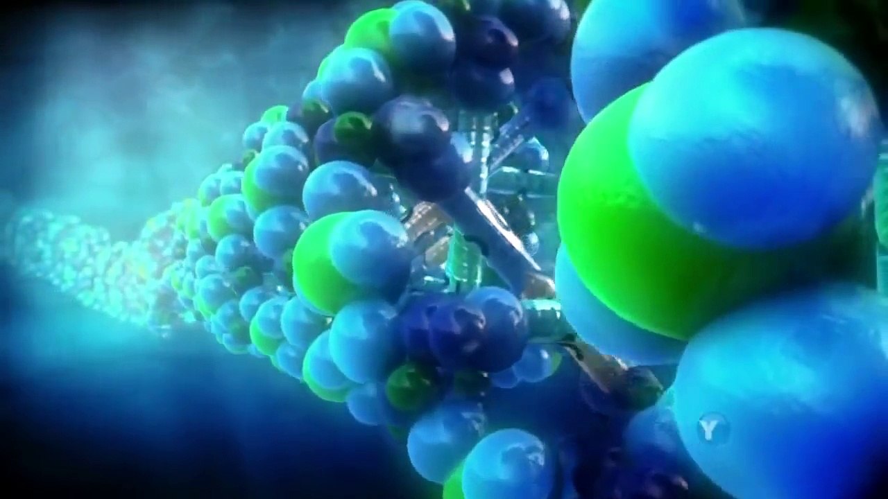 What Darwin Never Knew NOVA HD part 1/3 video Dailymotion