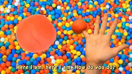 Finger Family Sea Animals Ball Pit Rhymes | Play doh ballpit learning colors | Finger Family Song