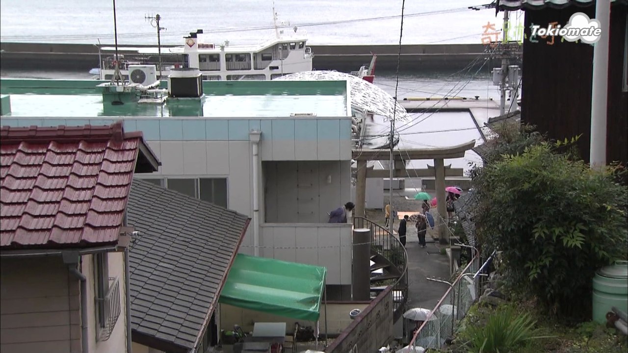 奇跡を呼ぶ島